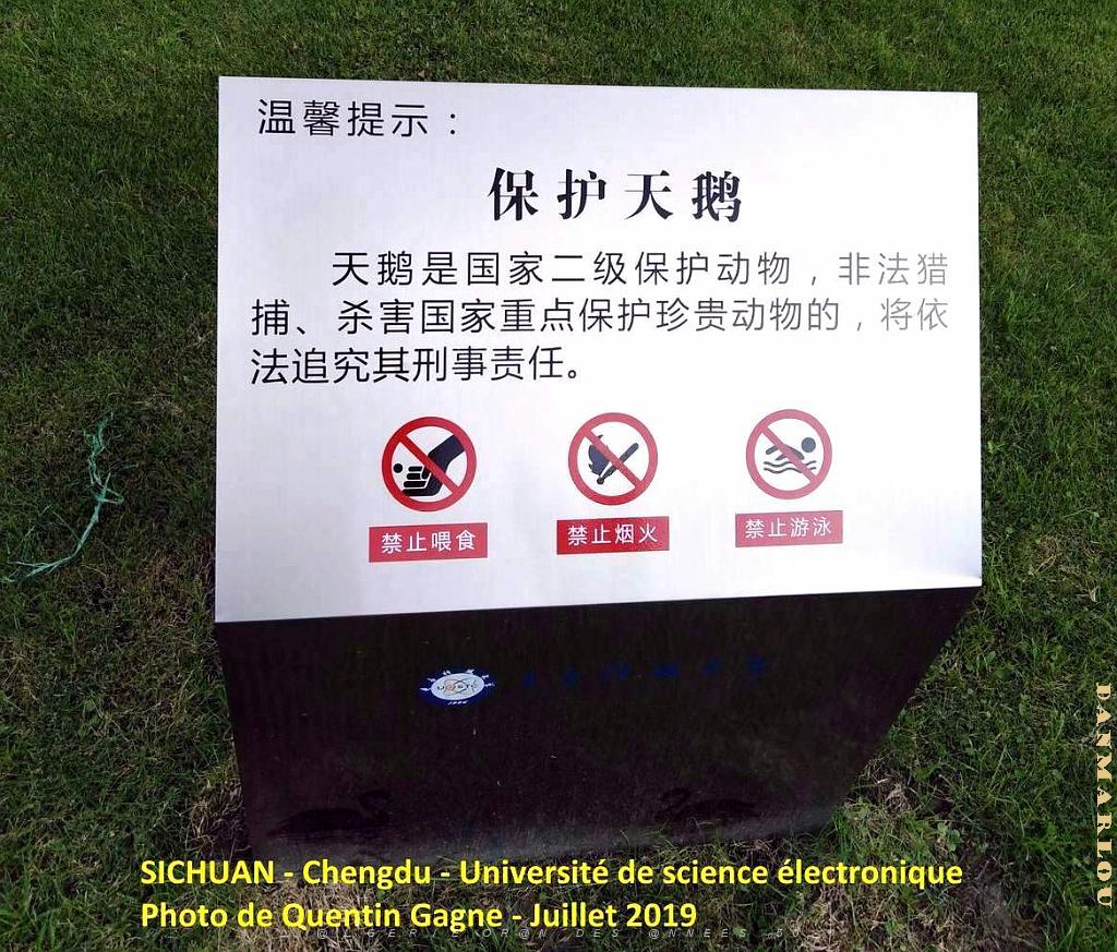 Chengdu- Universite Science electronique 041.jpg